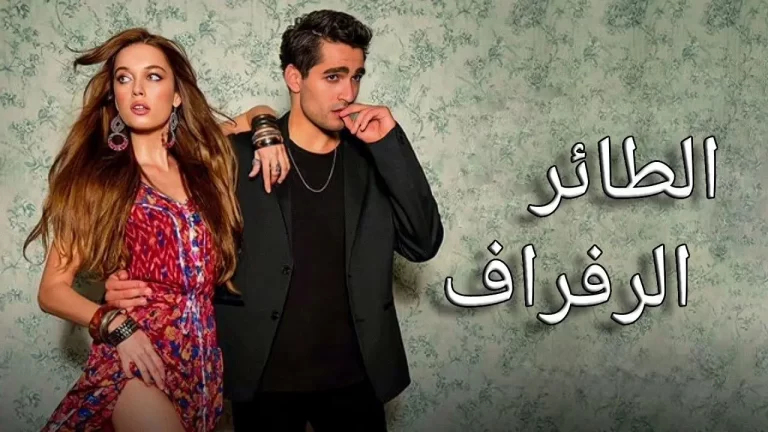 مواعيد عرض مسلسل طائر الرفراف 3 الموسم الثالث وجميع القنوات الناقلة